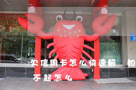 欠信用卡怎么快速解決(如果我欠了信用卡還不起怎么辦)