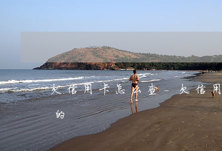 欠信用卡怎么查-欠信用卡怎么查到新單位的