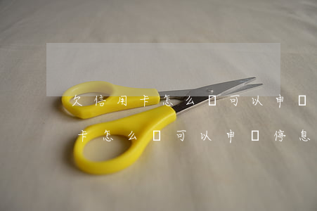 欠信用卡怎么樣可以申請停息掛賬-欠信用卡怎么樣可以申請停息掛賬呢