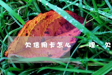 欠信用卡怎么樣處理-欠信用卡的錢最慘的