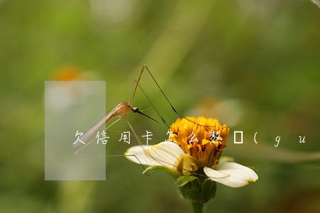 欠信用卡怎么熬過(guò)來(lái)