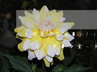 欠信用卡怎么聯(lián)系銀行協(xié)商還本金-欠信用卡怎么和銀行協(xié)商還款