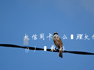 欠信用卡怎么處理（欠信用卡怎么應(yīng)對最好）