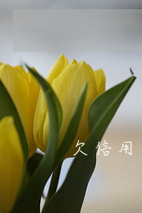 欠信用卡怎么處理（欠信用卡最糟糕的事）