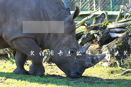 欠信用卡怎么解決最快(欠信用卡的錢最慘的)