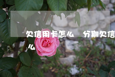 欠信用卡怎么辦分期(欠信用卡分期還不上怎么辦)