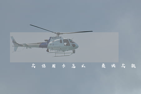 欠信用卡怎么辦最快(欠款信用卡)