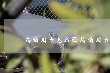 欠信用卡怎么还(欠信用卡怎么还清)
