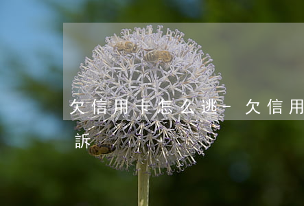 欠信用卡怎么逃-欠信用卡怎樣才不會被起訴