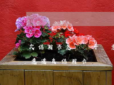 欠信用卡怎樣屬于惡意透支(怎么樣才算是惡意透支信用卡)