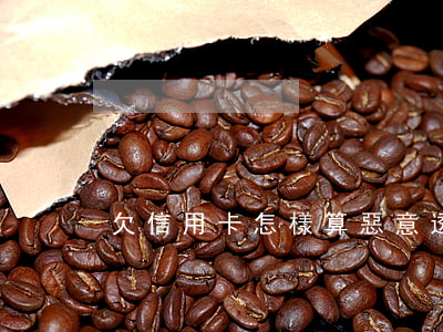 欠信用卡怎樣算惡意透支
