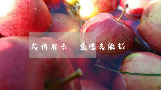 欠信用卡惡意透支能抓嗎