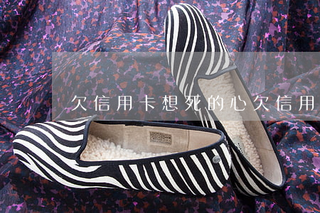 欠信用卡想死的心（欠信用卡想輕生）