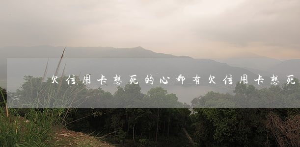 欠信用卡想死的心都有(欠信用卡想死了)