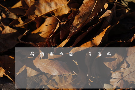欠信用卡想還了怎么辦