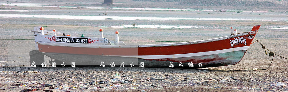 欠信用卡想還錢(欠信用卡想還錢怎么操作)