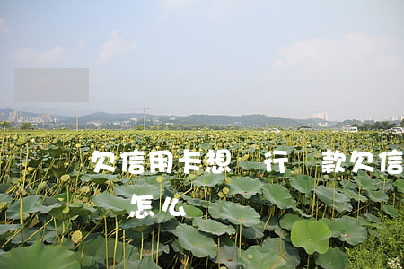 欠信用卡想銀行貸款(欠信用卡銀行貸款不還會怎么樣)