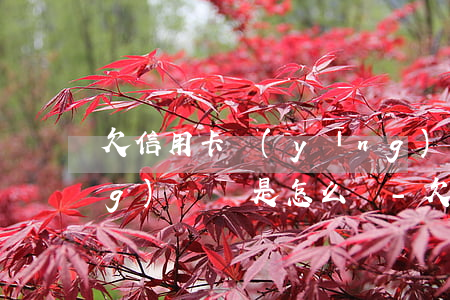 欠信用卡應(yīng)該以貸養(yǎng)貸還是怎么辦-欠信用卡貸款