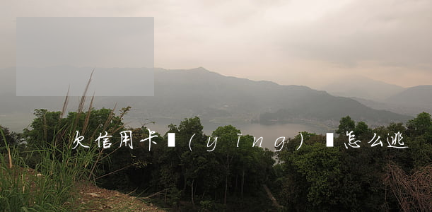 欠信用卡應(yīng)該怎么逃