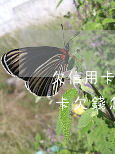 欠信用卡應(yīng)該怎么還款（欠信用卡欠錢怎么還）