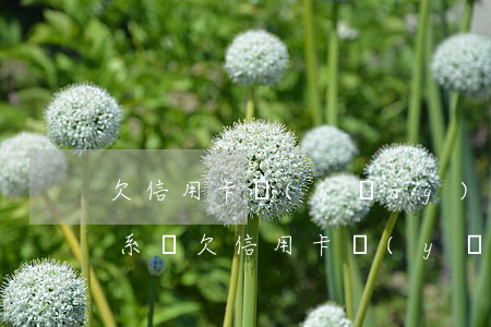 欠信用卡應(yīng)該聯(lián)系銀(欠信用卡應(yīng)該聯(lián)系銀聯(lián)嗎)