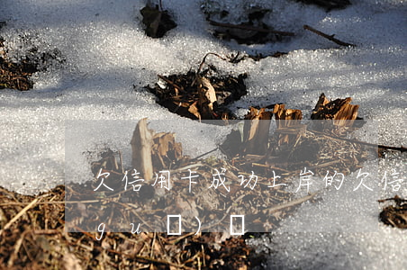 欠信用卡成功上岸的(欠信用卡上岸怎么規(guī)劃)