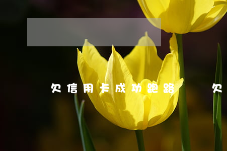 欠信用卡成功跑路視頻 欠信用卡成功跑路視頻