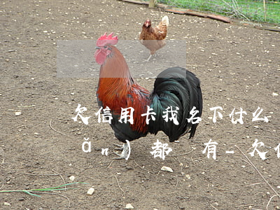 欠信用卡我名下什么財(cái)產(chǎn)都沒有-欠信用卡我名下什么財(cái)產(chǎn)都沒有怎么辦