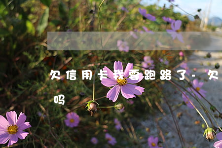 欠信用卡 我要跑路了-欠信用卡 我要跑路了吗
