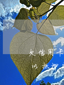 欠信用卡房子抵押貸款可以貸嗎(欠信用卡可以抵押房產(chǎn)貸款嗎)