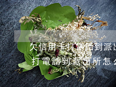 欠信用卡打電話到派出所怎么辦-欠信用卡打電話到派出所怎么辦理