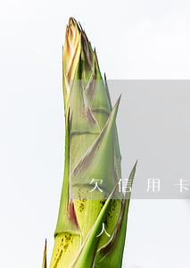 欠信用卡 找不到人(欠信用卡不還銀行找不到人)