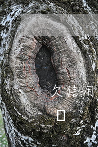 欠信用卡找不到我(欠信用卡找不到我該怎么辦)