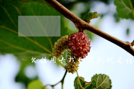 欠信用卡找代还(找代还信用卡怎么收费)