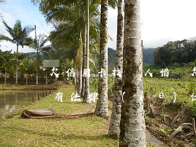 欠信用卡找別人借錢(欠別人信用卡的錢不還有法律責(zé)任嗎)