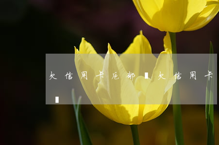 欠信用卡抑郁癥(欠信用卡太多感覺抑郁怎么辦)