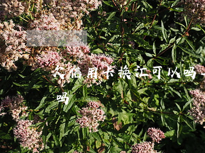 欠信用卡换汇可以吗-欠信用卡可以迁户口吗