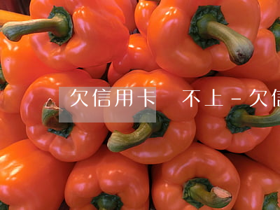 欠信用卡換不上-欠信用卡換不上錢怎么辦