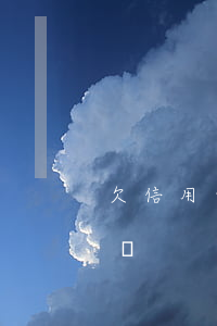 欠信用卡支付寶十幾萬（欠信用卡支付寶十幾萬）