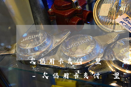 欠信用卡支付寶里錢會被凍結(jié)嗎-欠信用卡支付寶里錢會被凍結(jié)嗎怎么辦