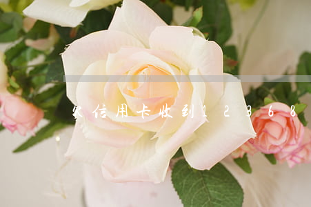 欠信用卡收到12368起訴短信