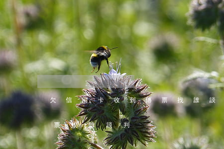 欠信用卡收到傳票找誰談-欠信用卡收到傳票找誰談判