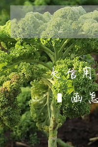 欠信用卡收到律師信（中信信用卡逾期收到律師函怎么辦）