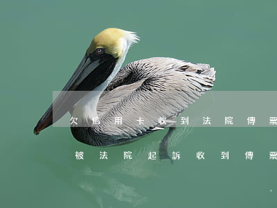 欠信用卡收到法院傳票多久開庭（信用卡逾期被法院起訴收到傳票后多久開庭）