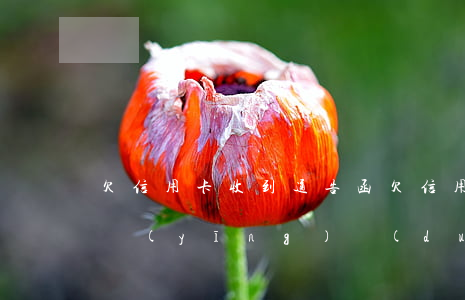 欠信用卡收到通告函(欠信用卡收到傳票如何應(yīng)對(duì))