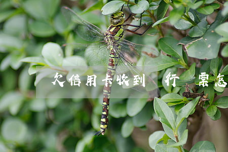 欠信用卡收到銀行傳票怎么辦
