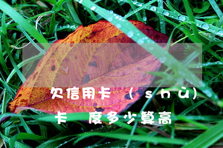 欠信用卡數(shù)額較大是多少（欠信用卡額度多少算高）