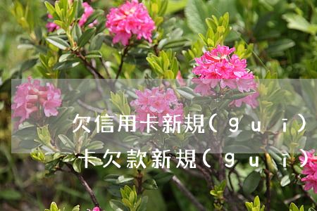 欠信用卡新規(guī)定(2021年信用卡欠款新規(guī))