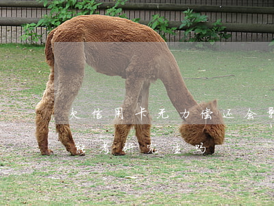 欠信用卡无力偿还会影响考研吗-欠信用卡能考研究生吗