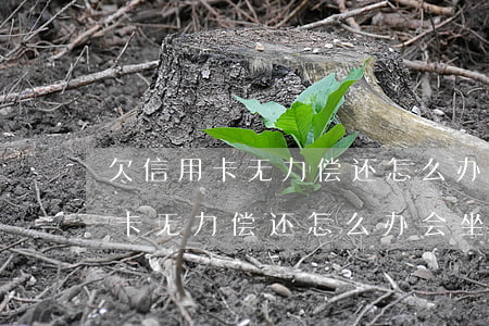 欠信用卡无力偿还怎么办会坐牢吗-欠信用卡无力偿还怎么办会坐牢吗判几年